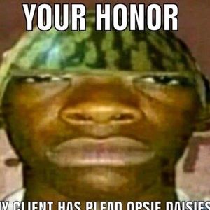 Meet your Posher, Felix